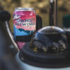 Rendezvous-Islands-Pink-Tart-IPA-Can-With-Compass
