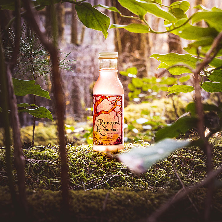 Liquid Sunshine Hidden Forest